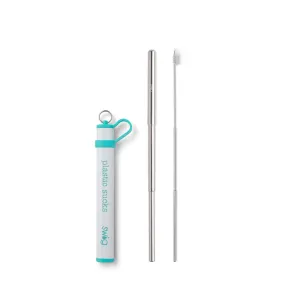 Aqua Telescopic Stainless Steel Straw Set