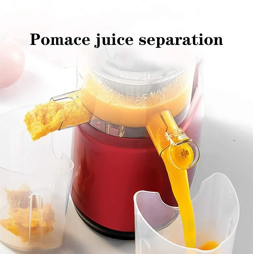 Automatic Juicer - Juicer Household Residue for Fruits and Vegetables