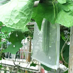 Divayanshi Fruit Protect Bags, 25pcs 12"x8" Drawstring Net Barrier Bag, Nylon Mesh Garden Plant Fruit Flower Netting Protection Bag