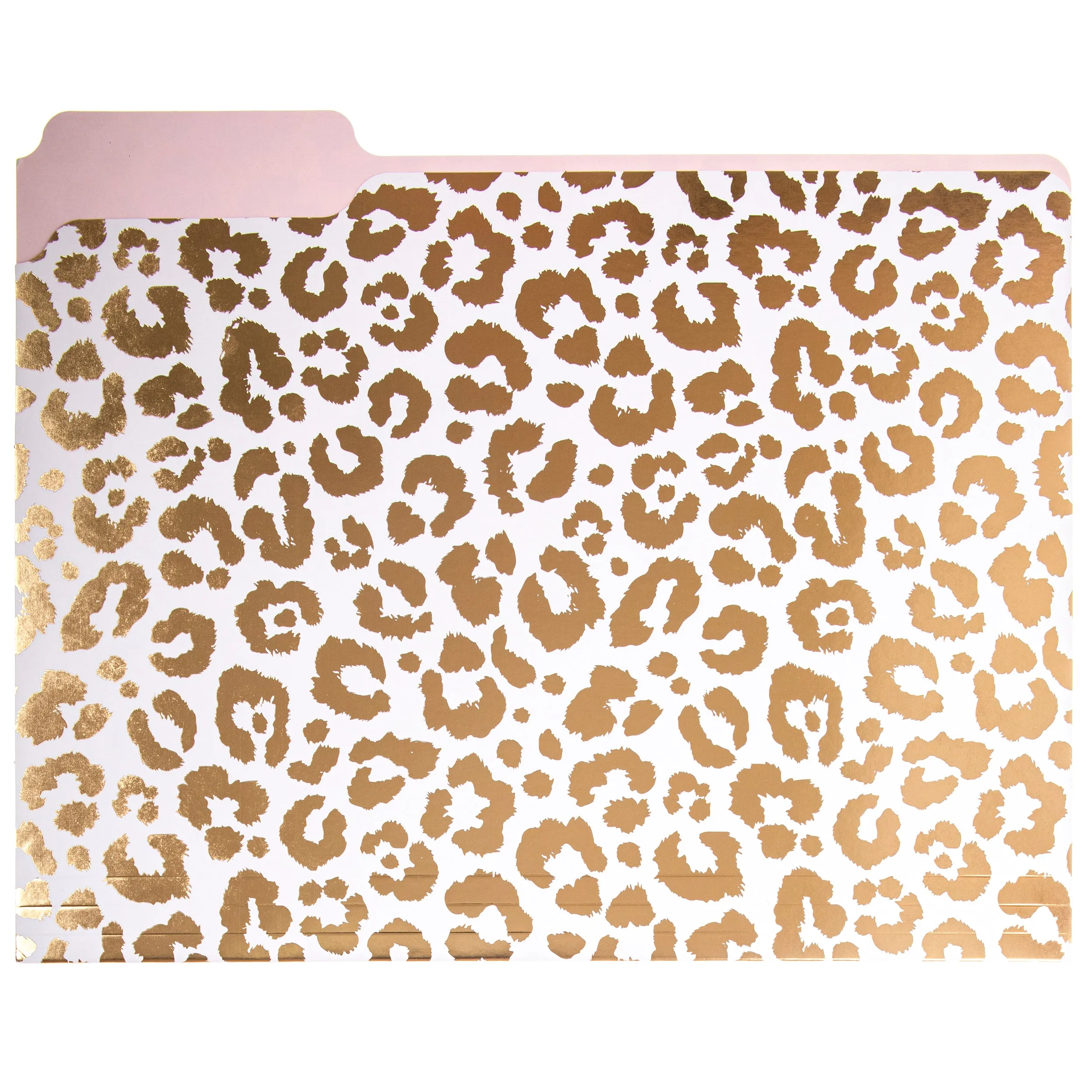 Leopard Print File Folder Set